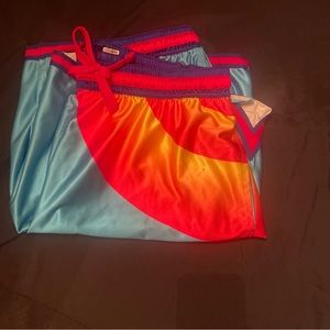 Men’s Nike Shorts Size 2x Just Do It LeBron James Addition